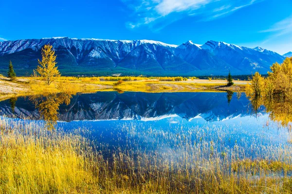 Rocky Mountains are reflected in the smooth water of Lake Abraham. Indian Summer in the Rockies. Concept of ecological and active tourism