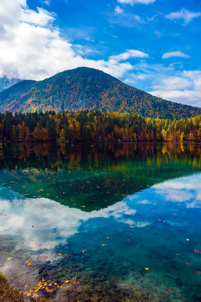 Reflejos Escénicos Bosques Multicolores Agua Del Lago Inundación Tras Lluvia — Foto de Stock