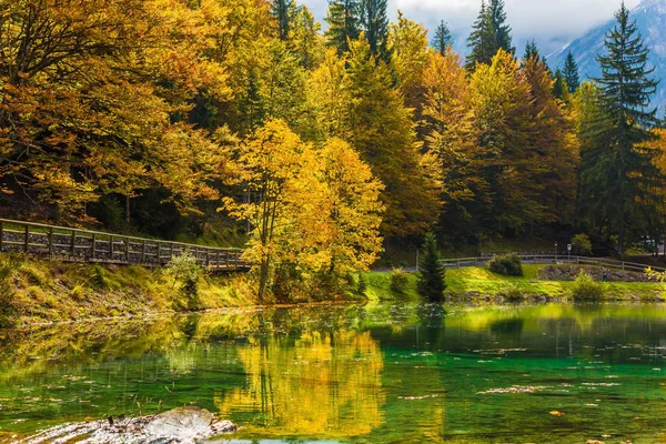 美丽的秋天森林在水中被反射 意大利北部宁静的湖泊 Fusine 文化生态旅游概念 一莱后湖高水 — 图库照片