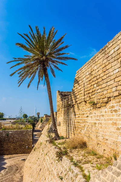 Muhteşem Milli Parkı Rezerv Caesarea Srail Güçlü Koruyucu Duvarların Etrafında — Stok fotoğraf