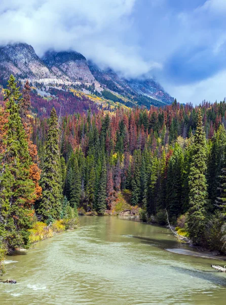 Multicolored Autumn Forests Grow Cold River Heavy Storm Clouds Rocky — Stock Photo, Image