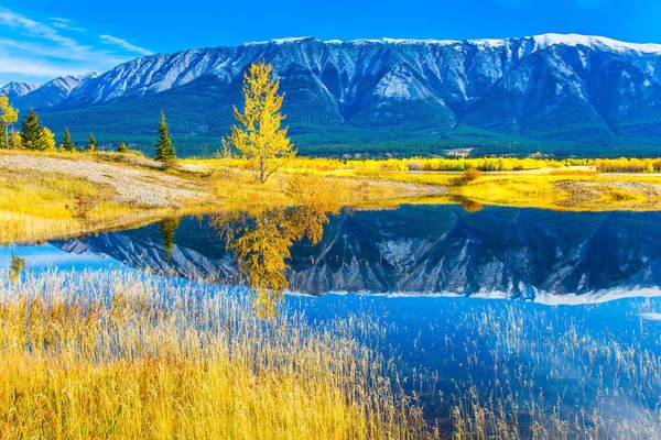 Rocky Mountains Odráží Tyrkysové Hladké Vodě Jezera Abraham — Stock fotografie
