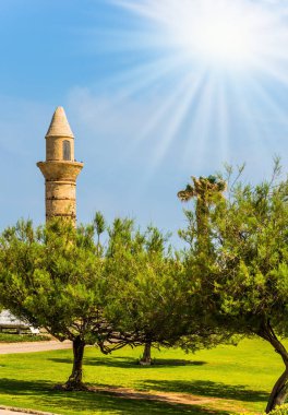 Sunny spring day. The acacias and minaret. The ancient city and port of Caesarea, Israel.   clipart