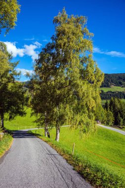 Yolun Alpin çayırlar iner. Dolomites'in sıcak sonbaharda. Ekolojik turizm kavramı
