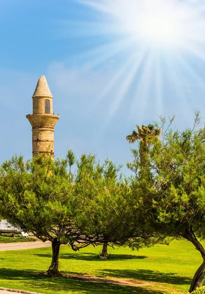 Sunny Spring Day Acacias Minaret Ancient City Port Caesarea Israel — Stock Photo, Image
