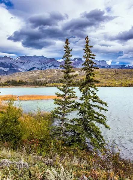 Duizelig Reizen Naar Rocky Mountains Rotsen Meren Een Gele Gras — Stockfoto