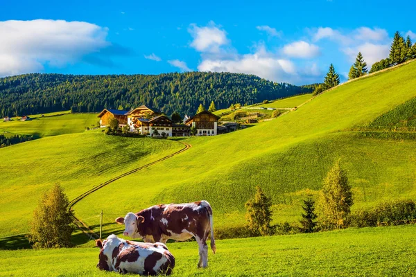 Charmante Landelijke Landschap Van Dolomieten Prachtige Zomer Zonsondergang Tirol Slanke — Stockfoto