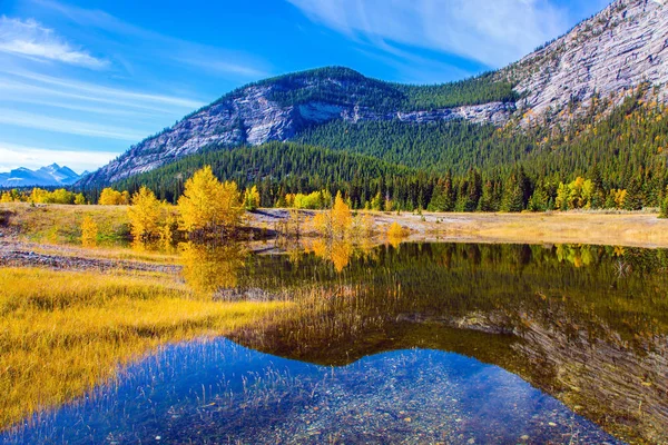 Žluté Oranžové Barvy Podzimu Rocky Mountains Hory Hladké Vodě Jezera — Stock fotografie