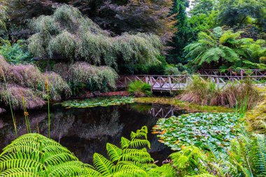 Dünyanın kenarına seyahat. Avustralya, Melbourne. Mgnificent hemen dışında park. Aktif ve ekolojik turizm kavramı