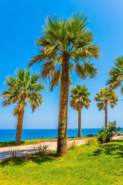 Kıbrıs Adası Akdeniz'de yaz tatili. Sıcak yaz gününde güzel sahil beldesi. Turizm ve plaj dinlenme iyileştirme kavramı
