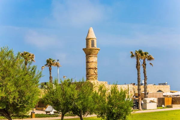 カイサリア古代ポート 復元された塔は緑の草の芝生や装飾的なアカシアに囲まれています イスラエルへの旅行します 考古学的な歴史的観光事業の概念 — ストック写真