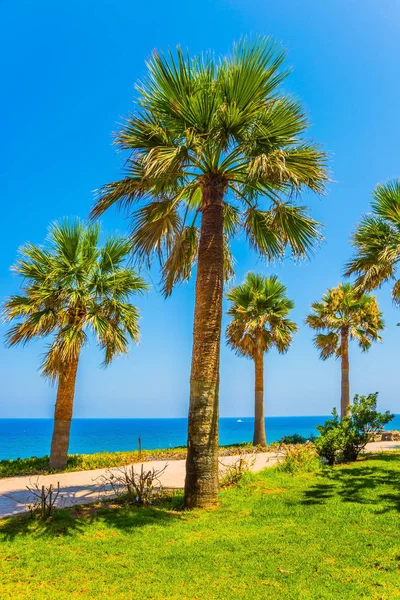 Sommerurlaub Auf Der Insel Zypern Mittelmeer Schöner Badeort Einem Heißen — Stockfoto