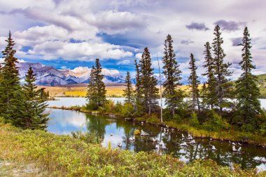 Vadi Pocahontas yol boyunca. Sığ su gölleri, sararmış ot ve pitoresk firs ile büyümüş. Aktif ve ekolojik turizm kavramı