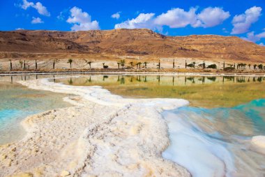 Terapötik Dead Sea, İsrail. Buharlaştırılmış tuz pitoresk çizgili sığ suda çöktürülmüş. Tıbbi ve ekolojik turizm kavramı
