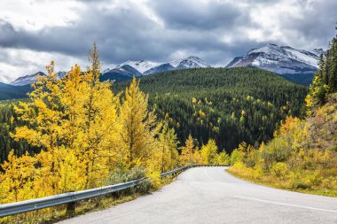 Rocky Dağları üzerinde dramatik fırtına bulutları. Muhteşem gür yaprak dökmeyen ve yaprak döken ormanları arasında yoldur