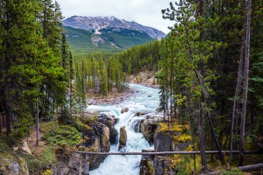 Nehrin ortasında küçük bir ada. Jasper National Park, Amerika Birleşik Devletleri. Aşırı ve ekolojik turizm kavramı. Kayalık kıyılarına şelale acele