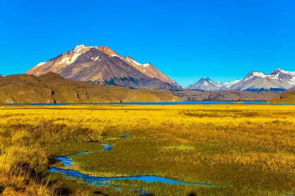 Campo Grama Amarela Com Córregos Fontes Subterrâneas Viagem Patagônia Argentina — Fotografia de Stock