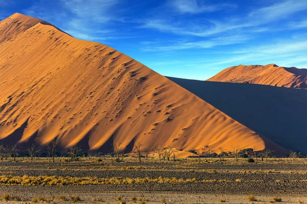 Formas Caprichosas Dunas Criadas Pelo Vento Dunas Amarelas Deserto Namíbia — Fotografia de Stock