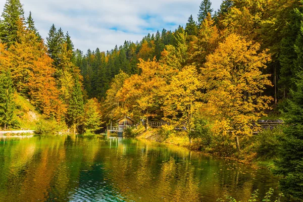 Bosques Otoño Fantásticamente Hermosos Reflejan Tranquilo Lago Lago Fusine Ondulaciones —  Fotos de Stock