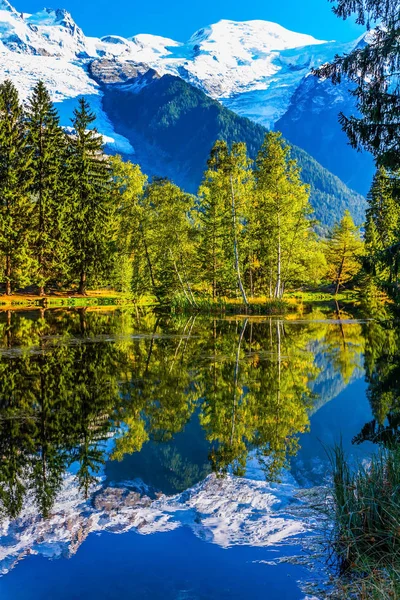 Lake Reflected Evergreen Spruce Snow Capped Alps City Park Illuminated — Stock Photo, Image