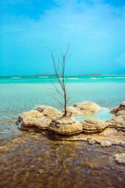 Pitoresk Adaları tıbbi Tuz Gölü. İsrail, Dead Sea. Ekolojik ve tedavi edici Turizm kavramı.