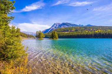 Kanada altın sonbaharda. Göl iki Jack ve küçük ada. Ekolojik ve aktif Turizm kavramı.