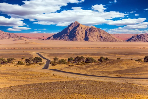 Desierto Más Antiguo Del Mundo Namib — Foto de Stock