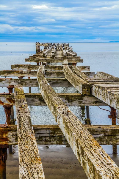 Restos Enferrujados Destruídos Amarração Marítima Sul América Sul Estreito Lendário — Fotografia de Stock