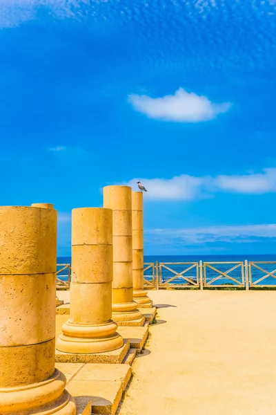 Akdeniz Sahilinde Çar Herod Döneme Ait Antik Sütunların Kalır Caesarea — Stok fotoğraf