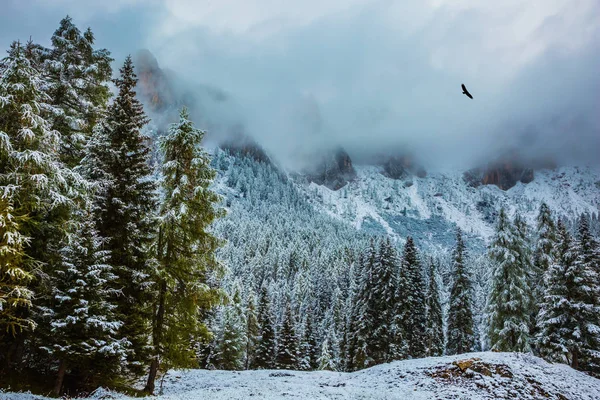 Vintern Har Kommit Snart Nytt Alpina Passera Giau Föll Första — Stockfoto