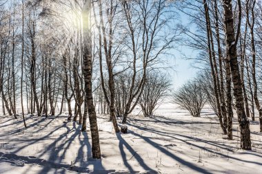 Donuk kutup kış güneşi. Uzun gölgeler kar üzerinde. Aşırı ve eko-turizm kavramı. Parlak kış soğuk gün