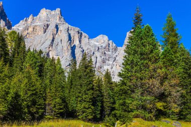İtalyan Dolomites en güzel rotasında. Mavi gökyüzüne karşı devasa beyaz kayalar. İğne yapraklı ormanlar. Aktif ve araba Turizm kavramı