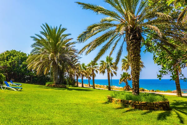 Akdeniz. Sıcak mavi deniz, uzun boylu ince palmiye ağaçları ve su kuyusu-damat yeşil ot çimler. Bir klasik plaj tatil kavramı