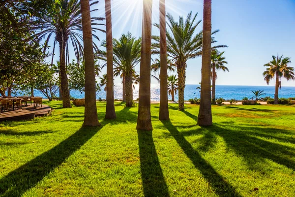 Dovolená Ostrově Středozemním Moři Západ Slunce Malebné Palmový Háj Zálivu — Stock fotografie
