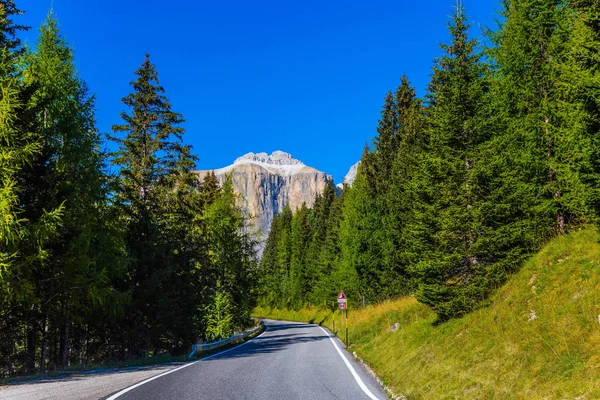 Pegunungan Pegunungan Alpen Timur Italia Jalan Ini Melewati Hutan Konifer — Stok Foto