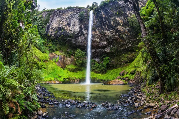 Viagem Exótica Ilha Norte Nova Zelândia Conceito Turismo Ativo Ecológico — Fotografia de Stock