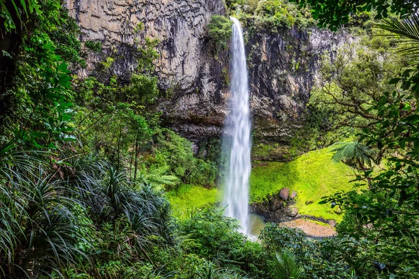 Vysoké Tenké Bridalveil Pádu Ráno Exotické Cesty Severní Ostrov Nový — Stock fotografie