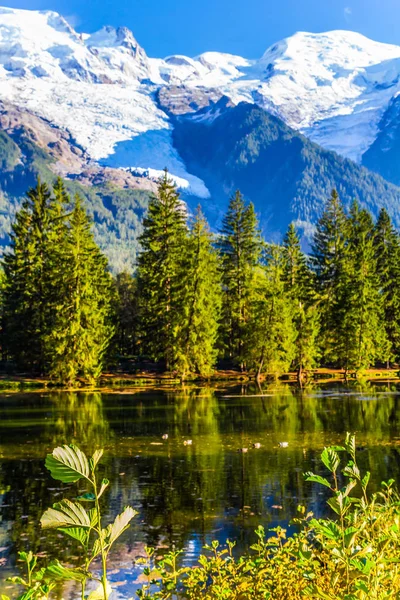 Lago Com Reflexo Abeto Perene Alpes Cobertos Neve Chamonix Haute — Fotografia de Stock