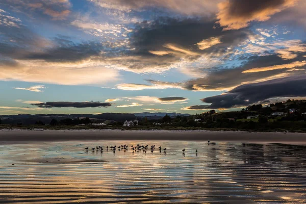 Impresionante Puesta Sol Costa Del Pacífico Nueva Zelanda —  Fotos de Stock
