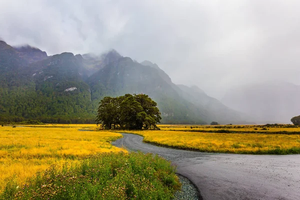 Estrada Pitoresca Neblinas South Island Viagem Exótica Para Nova Zelândia — Fotografia de Stock