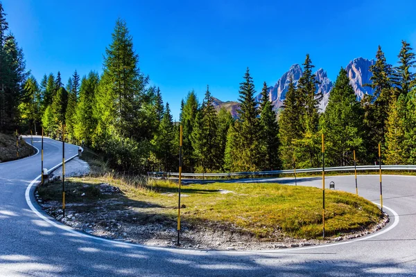 Silnice Prochází Jehličnatých Lesích Pohoří Východních Alp Itálie — Stock fotografie
