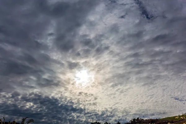 オーストラリアの青い空の高積雲の低角度のビュー — ストック写真