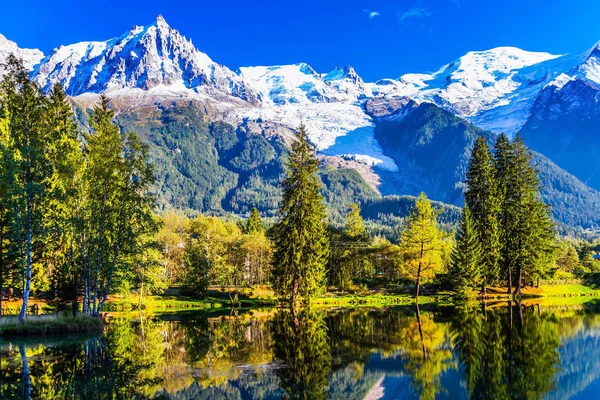 Lake Odráží Zasněžené Alpy Jehličnaté Smrk — Stock fotografie