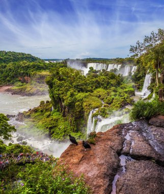 Ünlü siyah and Condor çıkıntıya kenarında oturmak. Pitoresk bazaltik çıkıntıları ünlü şelaleler şeklinde. Iguazu Şelaleleri. Aktif ve egzotik Turizm kavramı