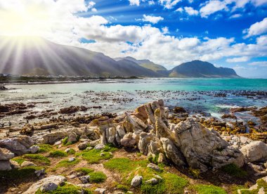   Güneş penguenler ve yosun kıyı taşlar arasında aydınlatır. Kayalar penguen kolonisi Milli Parkı Atlantik'in, Güney Afrika. Ekoturizm kavramının
