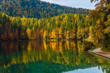 Gölün yumuşak suda çok renkli ormanların doğal yansımaları. Yağmur sonrası sel. Sessiz gölün kuzey İtalya, Lago de Fusine. Kültürel ve ekolojik turizm kavramı