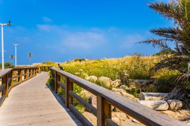 Caesarea, İsrail muhteşem Milli Parkı-rezerv. Bir çiçekli otsu çayır ortasında ahşap yaya yolu. Etkin, ekolojik ve tarihsel turizm kavramı