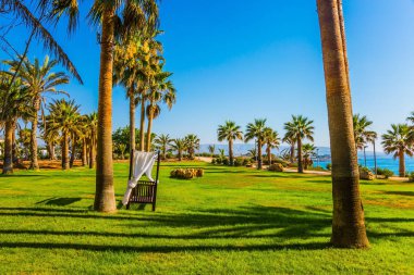 Akdeniz'de bir ada üzerinde gün batımı. Pahalı bir otelin çevresinde bir palm Grove'da pitoresk iklimsel kabin. Deniz kıyısında lüks tatil kavramı