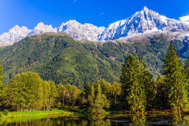  Pitoresk park ayak Mont Blanc, Chamonix, dağ beldesinde. Göl evergreen Ladin yansıtıyordu. Aktif ve ekolojik turizm kavramı