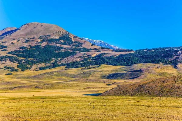 Champ Herbe Jaune Entouré Montagnes Lointaines Patagonie Argentine Concept Tourisme — Photo